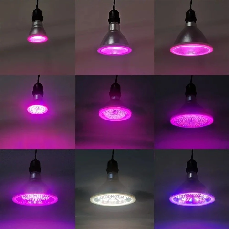 Ir Grow Light Bulb Ir Grow Light Bulb